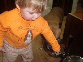 image (9).jpg