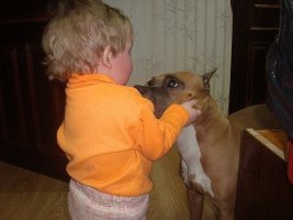 image (8).jpg