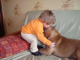 image (6).jpg