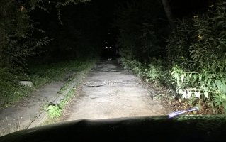 фото ламп2.jpg