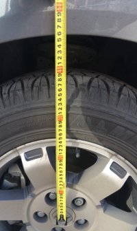 image.jpeg
