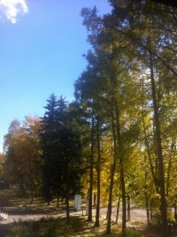 IMG_9192.jpg