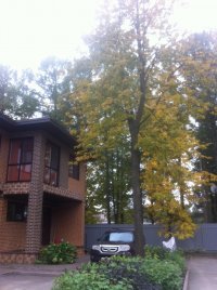 IMG_9183.jpg
