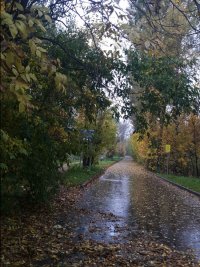 20161008_100644.jpg