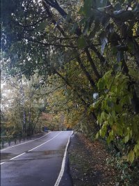 20161008_100742.jpg