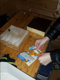 20161008_173238.jpg