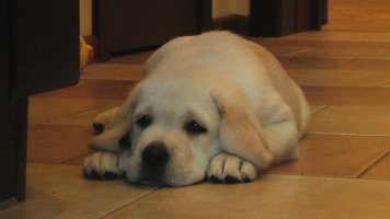 IMG_9296 (1).jpg