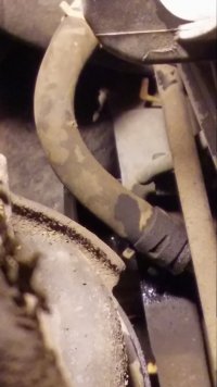 20161231_131409_HDR.jpg