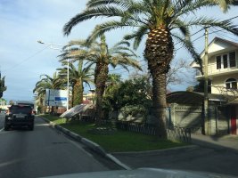 IMG_5754.JPG