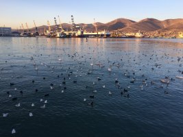 IMG_5807.JPG