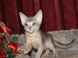 IMG_6148.JPG