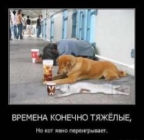 IMG-20170207-WA002.jpg