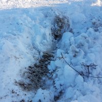 20170216_163542.jpg
