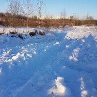 20170216_164326.jpg