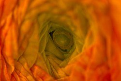 DSC_0196-1.jpg
