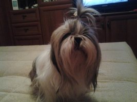 20130302_201925.jpg