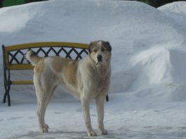 IMG_3365.JPG