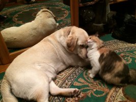 IMG_0321.JPG