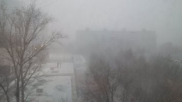 IMG_20170328_155430.jpg