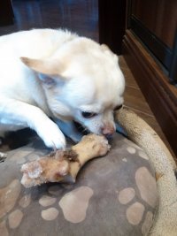 IMG_20170416_115511.jpg