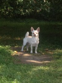 IMG-20170417-WA003.jpg