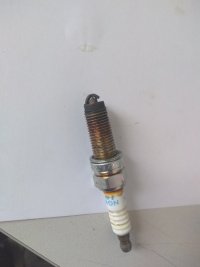 IMG_20170426_110027.jpg