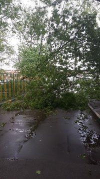 IMG-20170529-WA0008.jpeg
