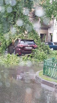 IMG-20170529-WA0003.jpeg