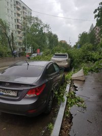 IMG-20170529-WA0003.jpg IMG-20170529-WA0003.jpg