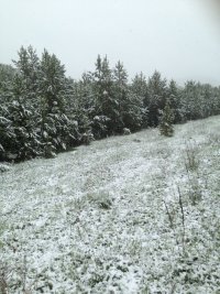 IMG-20170601-WA0000.jpg IMG-20170601-WA0000.jpg