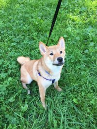IMG-20170808-WA0001.jpg
