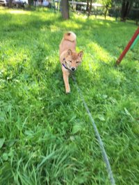 IMG-20170808-WA0000.jpg