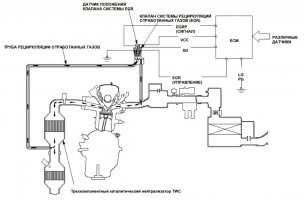 EGR L15A.jpg