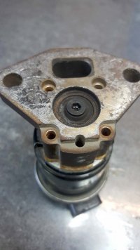 20170817_183515.jpg