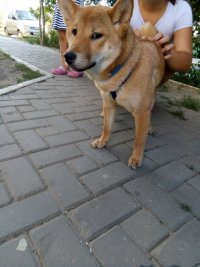 IMG_20170817_171200.jpg