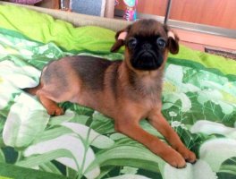 IMG-20171123-WA0005.jpg