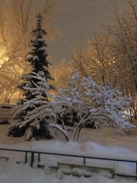 IMG-20180131-WA0009.jpg