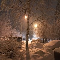 IMG-20180131-WA0005.jpg