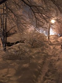 IMG-20180131-WA0000.jpg