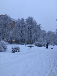 IMG-20180131-WA0002.jpg