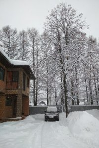 IMG_20180131_113034.jpg