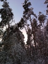 IMG_20180205_100258.jpg