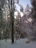 IMG_20180205_095633.jpg