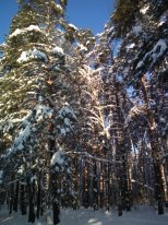 IMG_20180214_095128.jpg