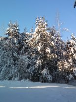 IMG_20180214_095355.jpg