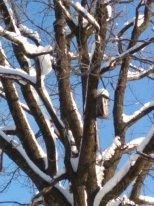 IMG_20180214_100635.jpg