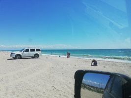 IMG_20180717_141956.jpg