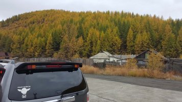 20180908_165733.jpg