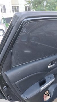 IMG_20180811_121618.jpg