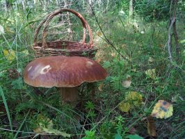 20130801_103932.jpg